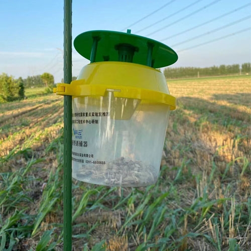 Bucket Funnel Trap